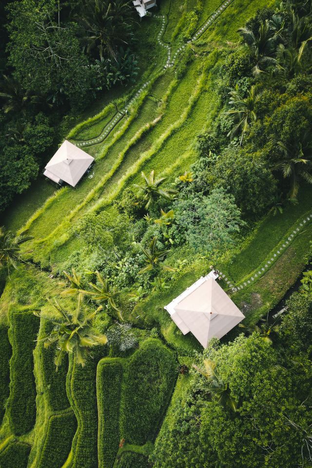Aerial view of Bali rice terraces