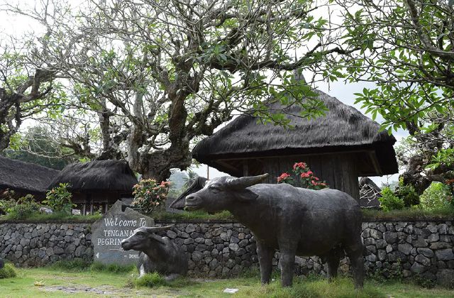East Bali Natural & Culture Tour gallery photo