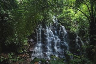 Ubud Tour gallery photo